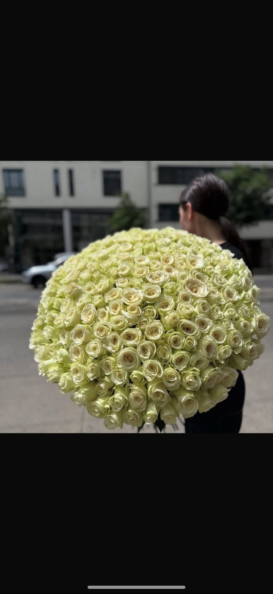 201 Weiße Rosen