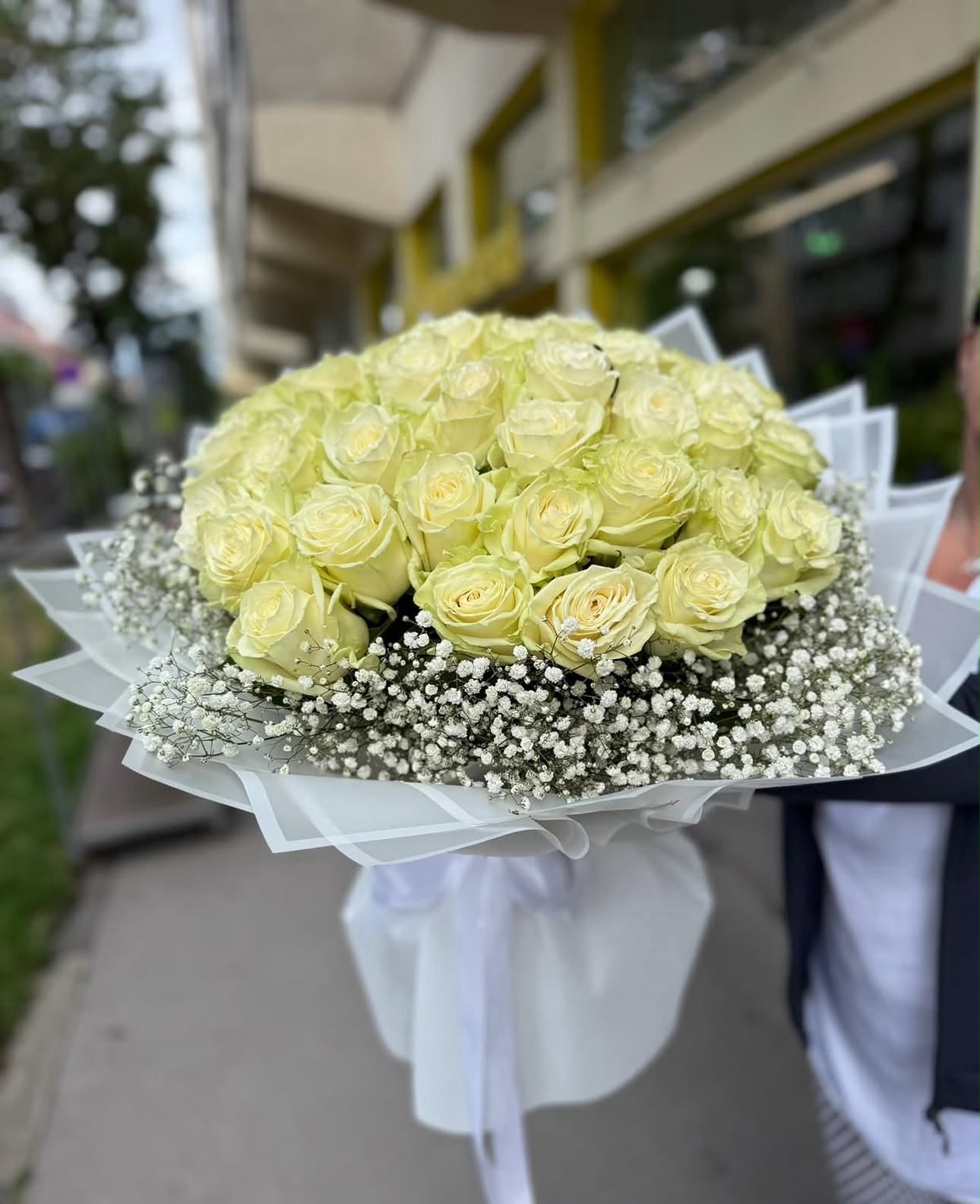 51 Weiße Rosen verpackt